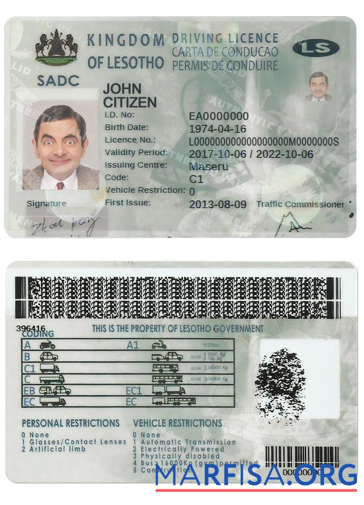 Printable Lesotho driving license sample